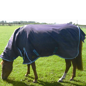 Mark Todd Heavyweight Pony Combo Turnout Rug                                         